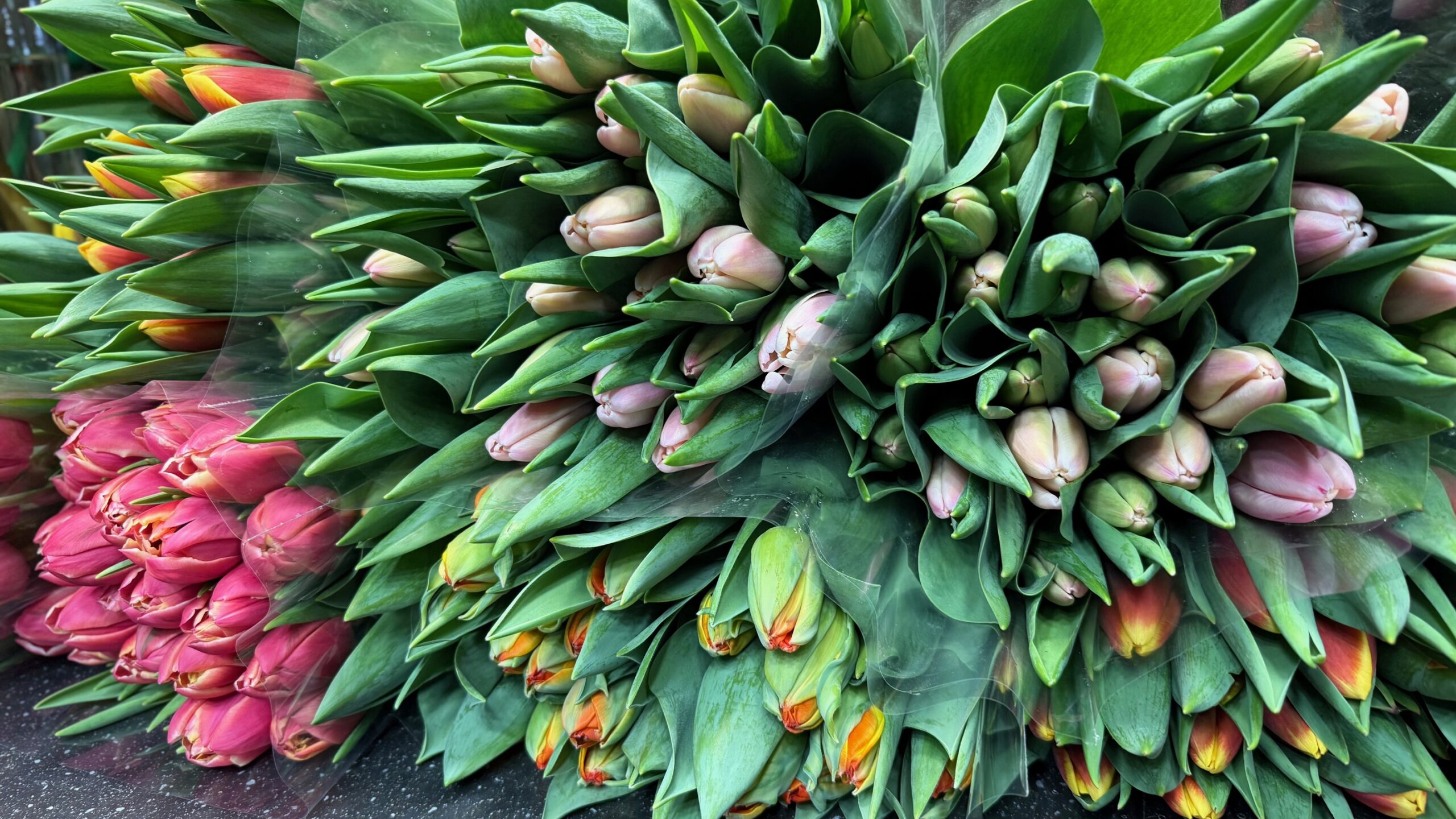 artykuły Kwiatoterapia – więcej niż kwiaty